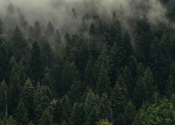 Download Free HD Desktop Wallpapers for PC and Laptop