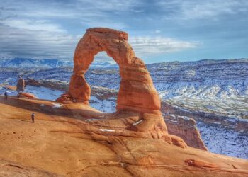 Serengeti National Park Tours: A Once-in-a-Lifetime Safari Experience